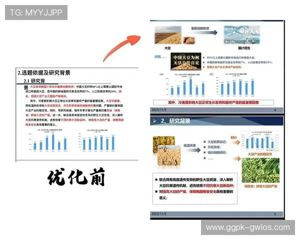 申博:申博对家庭经济负担的影响及经济规划建议 申博:申博对家庭经济负担的影响及经济规划建议