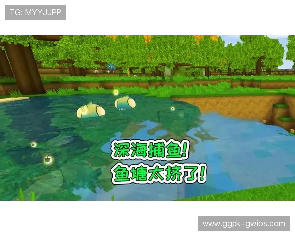 趣玩注册流程详解助你快速完成账号创建与游戏畅玩